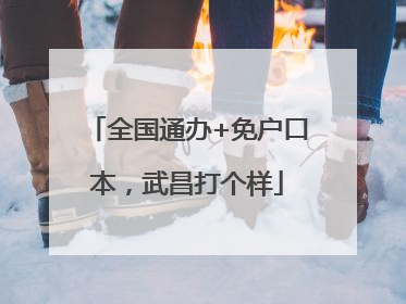全国通办+免户口本，武昌打个样